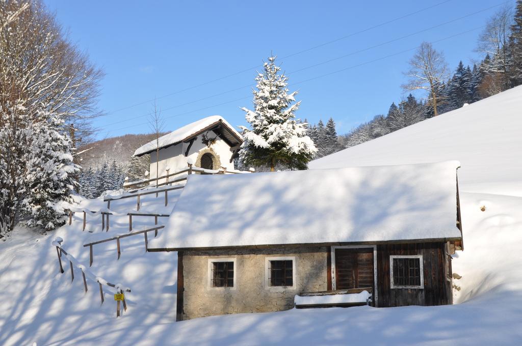 Apart Dirndltal Loich Extérieur photo