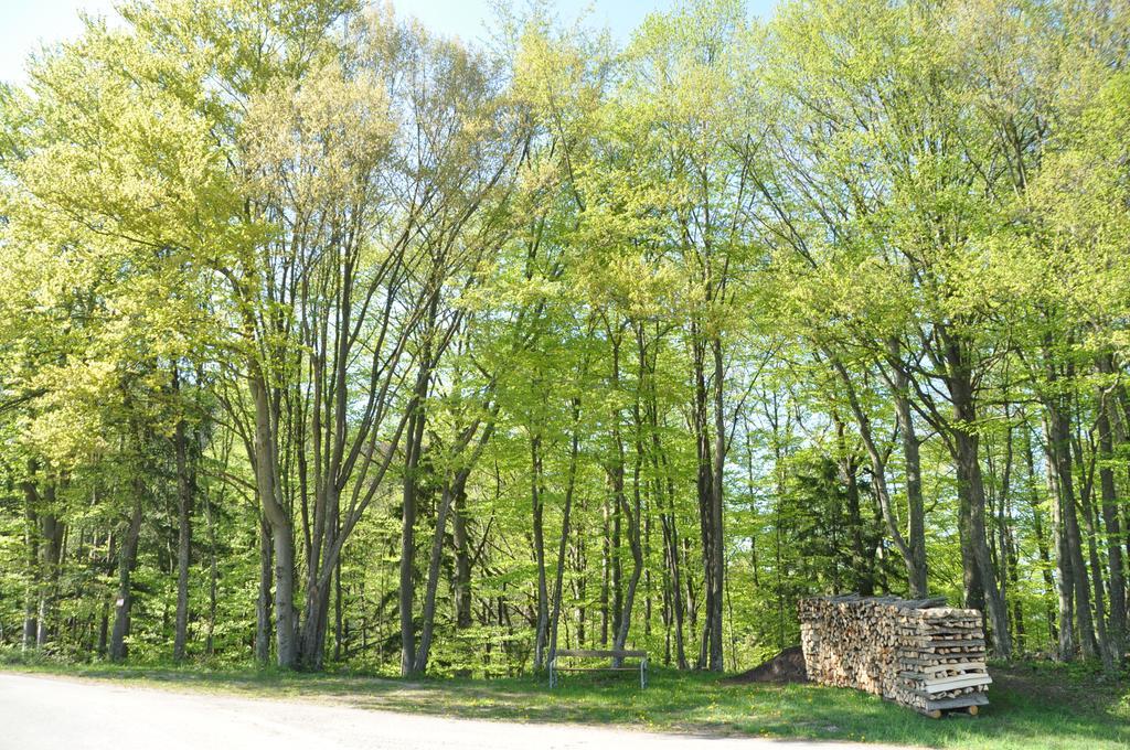 Apart Dirndltal Loich Extérieur photo